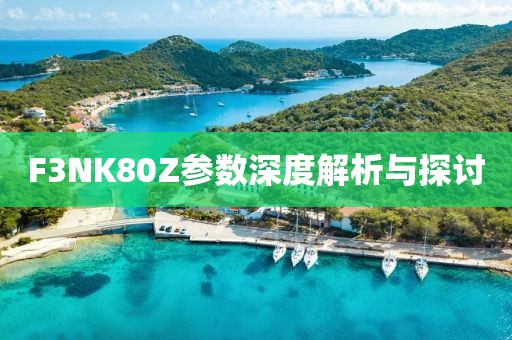F3NK80Z参数深度解析与探讨