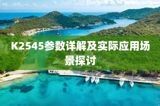 K2545参数详解及实际应用场景探讨