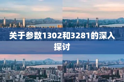 关于参数1302和3281的深入探讨