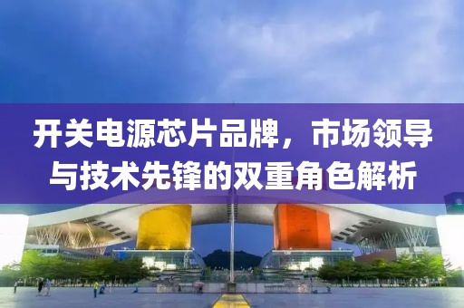 开关电源芯片品牌，市场领导与技术先锋的双重角色解析