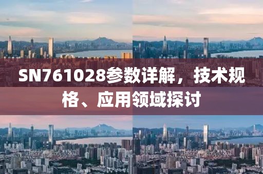 SN761028参数详解，技术规格、应用领域探讨