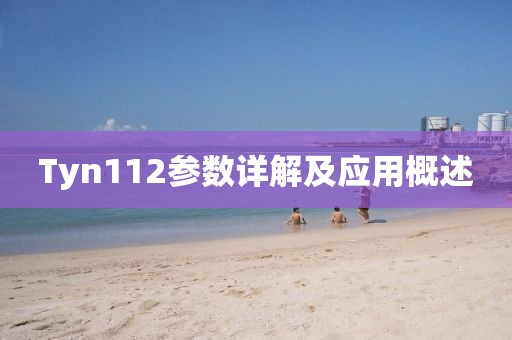Tyn112参数详解及应用概述