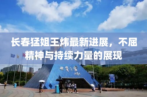 长春猛姐王炜最新进展，不屈精神与持续力量的展现