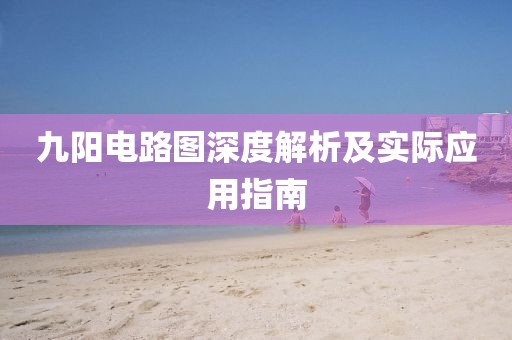 九阳电路图深度解析及实际应用指南