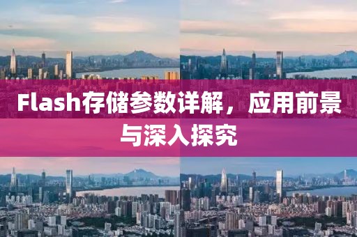 Flash存储参数详解，应用前景与深入探究
