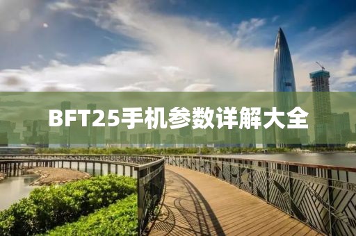 BFT25手机参数详解大全