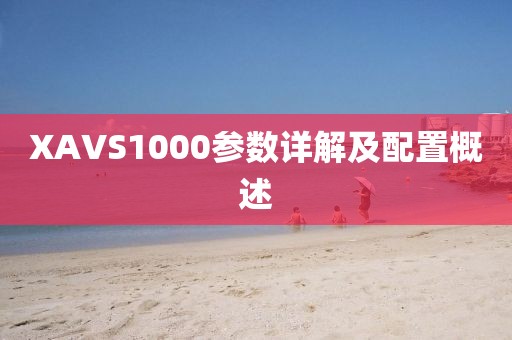 XAVS1000参数详解及配置概述