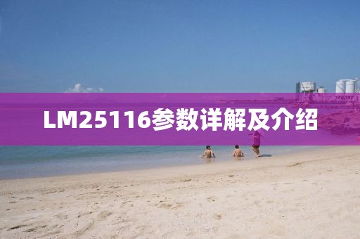 LM25116参数详解及介绍