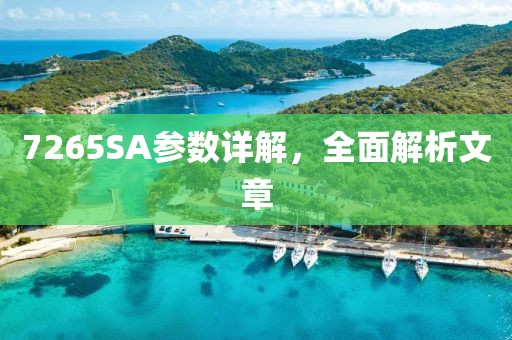 7265SA参数详解，全面解析文章