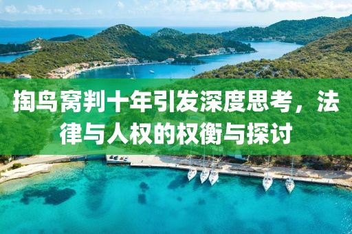 掏鸟窝判十年引发深度思考，法律与人权的权衡与探讨