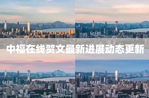 中福在线贺文最新进展动态更新