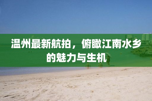 温州最新航拍，俯瞰江南水乡的魅力与生机