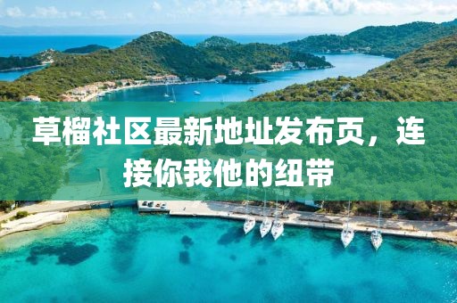 草榴社区最新地址发布页，连接你我他的纽带