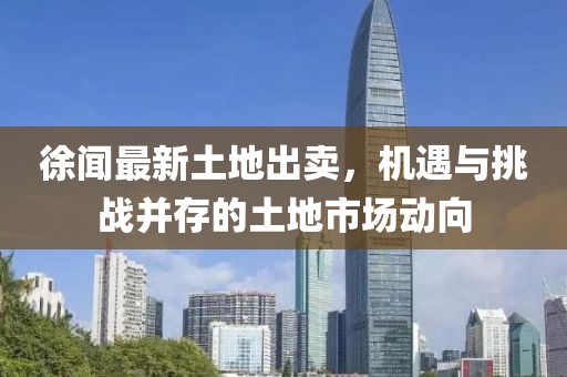 徐闻最新土地出卖，机遇与挑战并存的土地市场动向