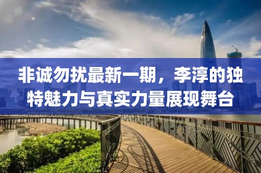非诚勿扰最新一期，李淳的独特魅力与真实力量展现舞台