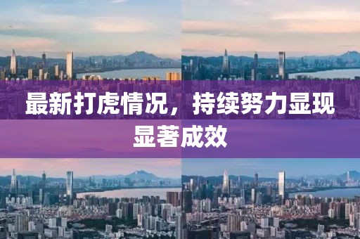 最新打虎情况,持续努力显现显著成效