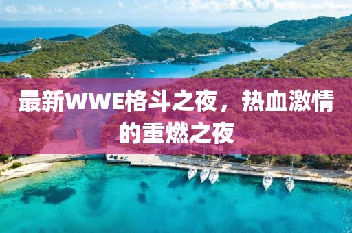 最新WWE格斗之夜,热血激情的重燃之夜