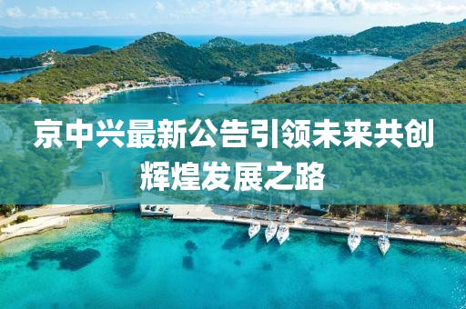 京中兴最新公告引领未来共创辉煌发展之路