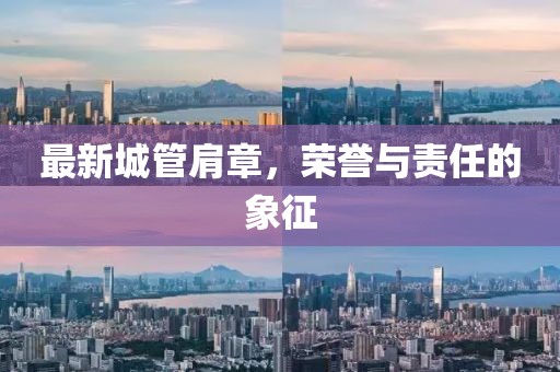 最新城管肩章，荣誉与责任的象征