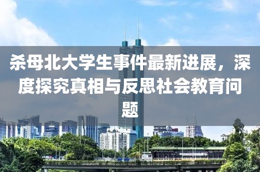 杀母北大学生事件最新进展，深度探究真相与反思社会教育问题