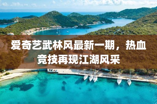 爱奇艺武林风最新一期，热血竞技再现江湖风采