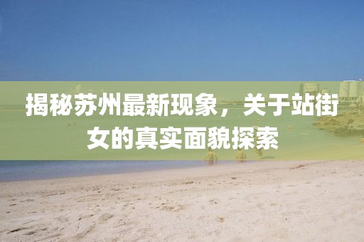 揭秘苏州最新现象，关于站街女的真实面貌探索