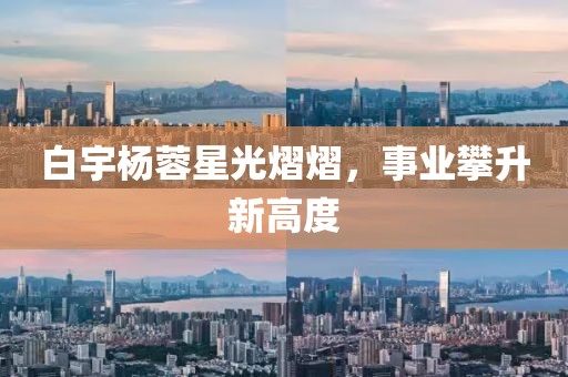 白宇杨蓉星光熠熠，事业攀升新高度