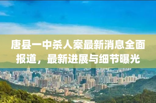 唐县一中杀人案最新消息全面报道，最新进展与细节曝光