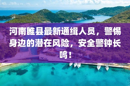 河南睢县最新通缉人员，警惕身边的潜在风险，安全警钟长鸣！