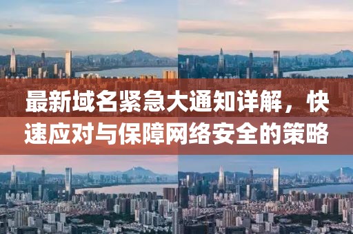 最新域名紧急大通知详解，快速应对与保障网络安全的策略