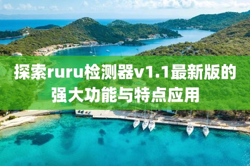 探索ruru检测器v1.1最新版的强大功能与特点应用