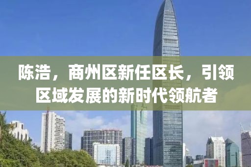 陈浩，商州区新任区长，引领区域发展的新时代领航者