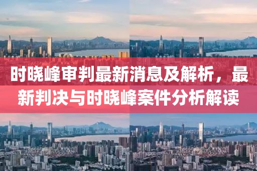 时晓峰审判最新消息及解析，最新判决与时晓峰案件分析解读