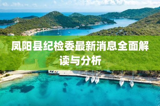 凤阳县纪检委最新消息全面解读与分析