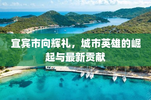 宜宾市向辉礼，城市英雄的崛起与最新贡献