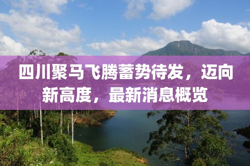 四川聚马飞腾蓄势待发，迈向新高度，最新消息概览