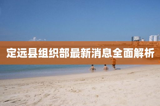定远县组织部最新消息全面解析