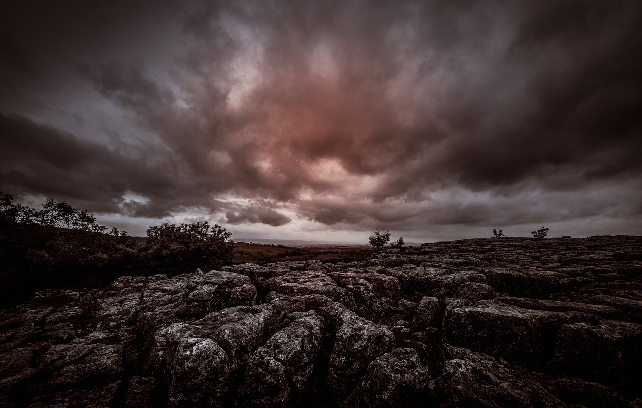 最新二战电影沃伦,战火中的英勇与牺牲之路。