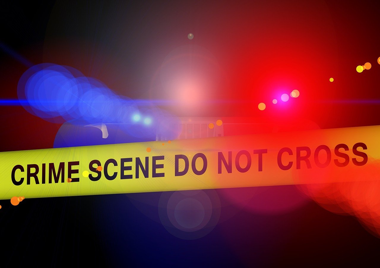 启客TV最新版本下载指南及体验分享，涉及违法犯罪问题的探讨与警示
