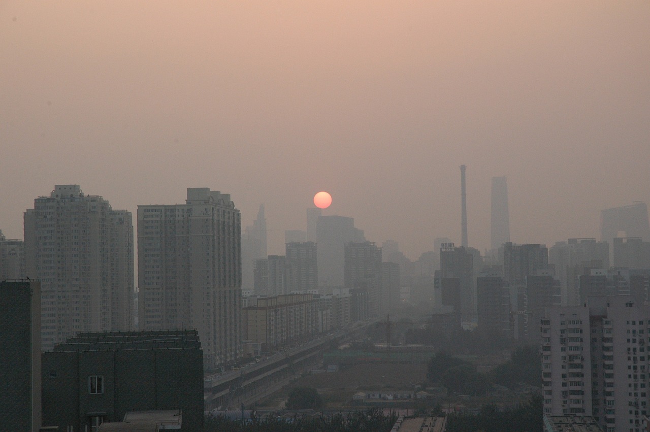 叶百寿地区最新房租出租信息总览