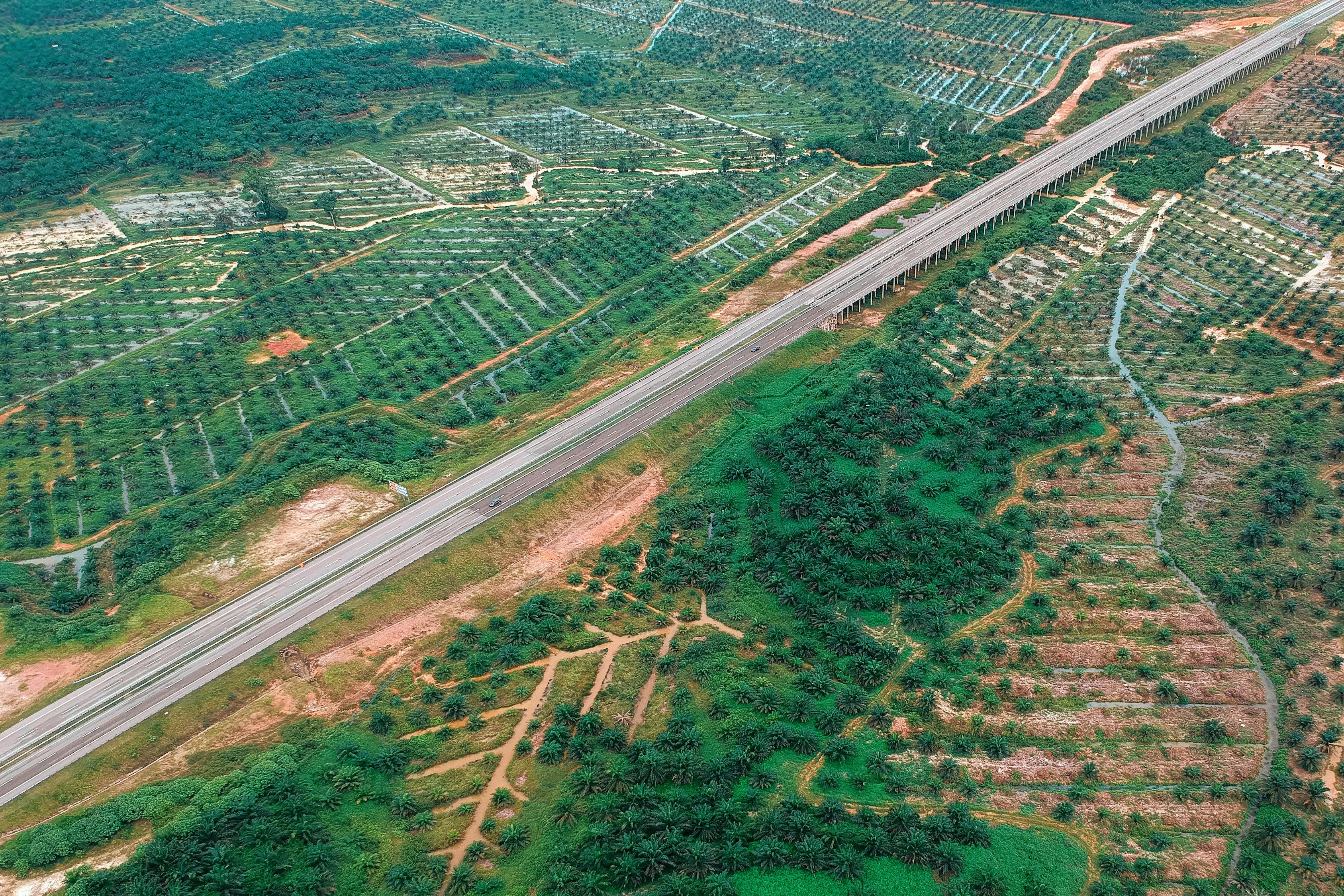 兴富高速公路最新进展报告更新，建设进度一览
