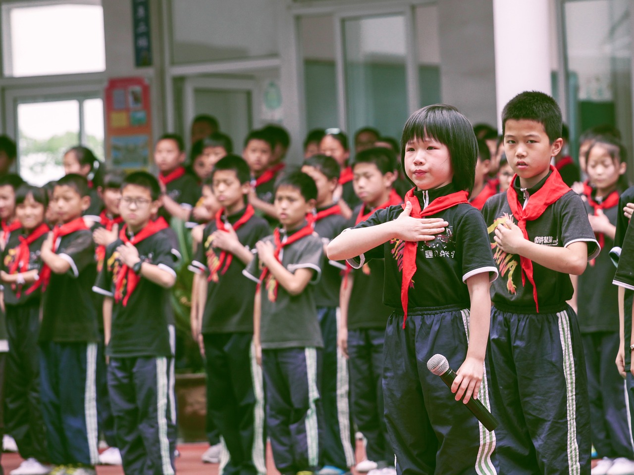 仲恺第一小学迈向未来的教育新篇章，最新消息一览