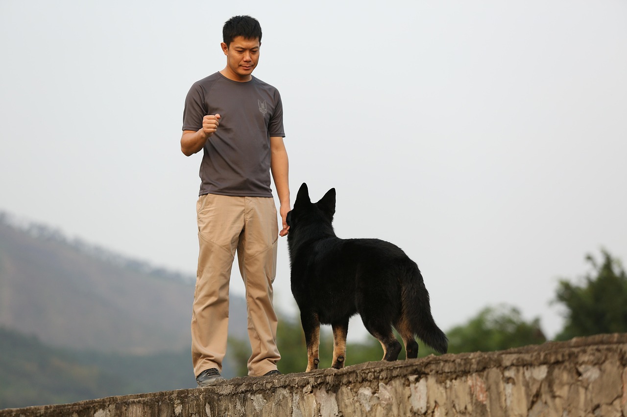 崀山犬木塘库最新动态，生态与人文的和谐共融