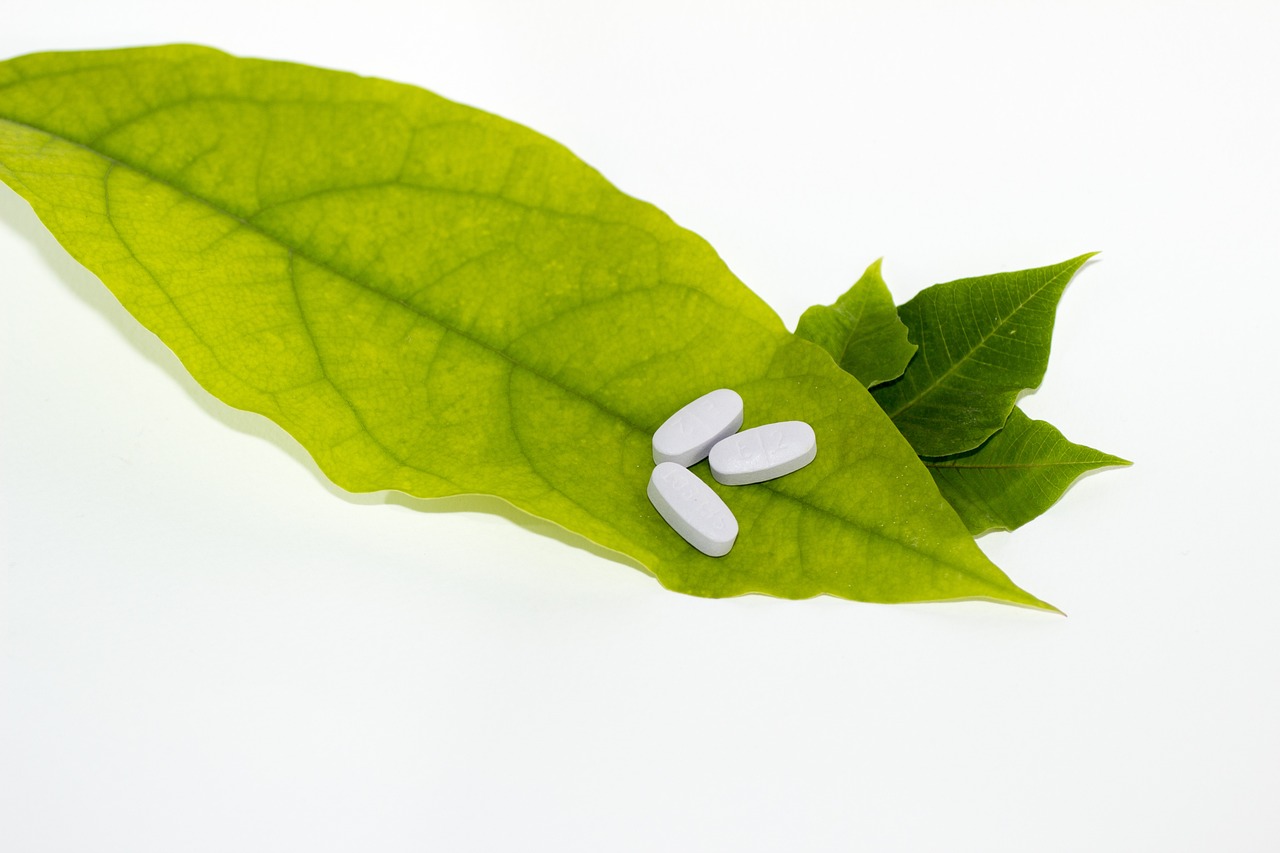 苹果树腐烂病最新防治方法详解
