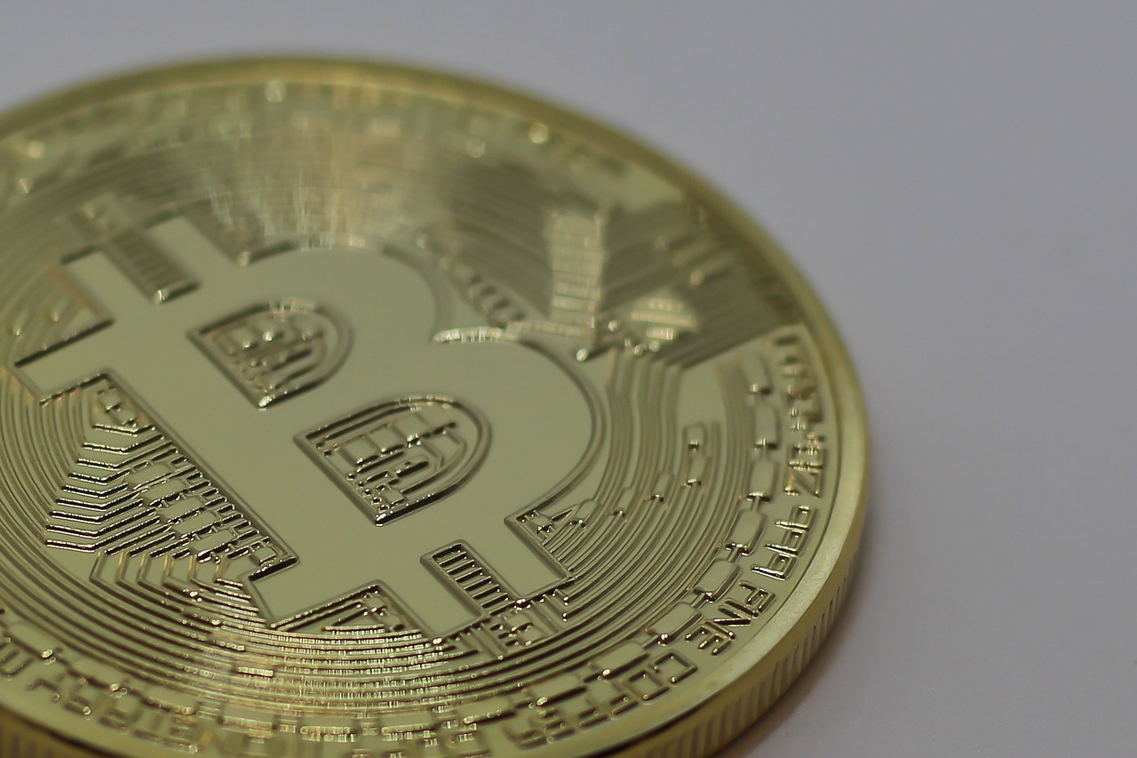 柑桔最新价格动态分析与趋势预测
