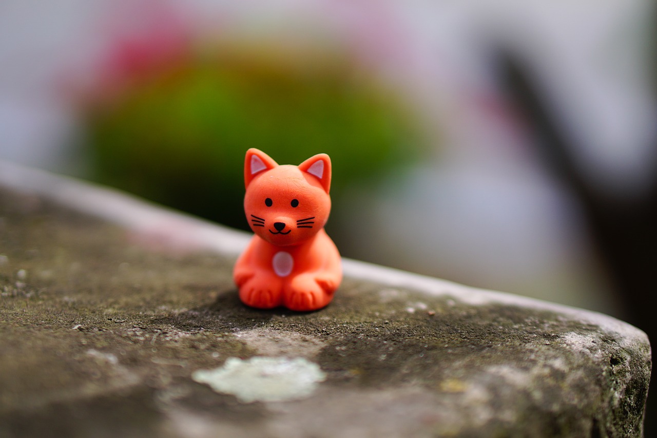 探索猫咪数字世界，最新猫咪下载资讯分享