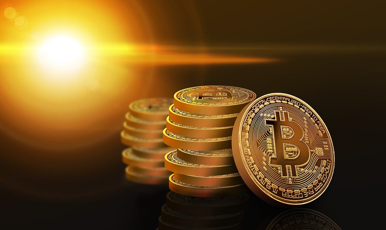 秦艽最新价格，市场走势与影响因素深度解析
