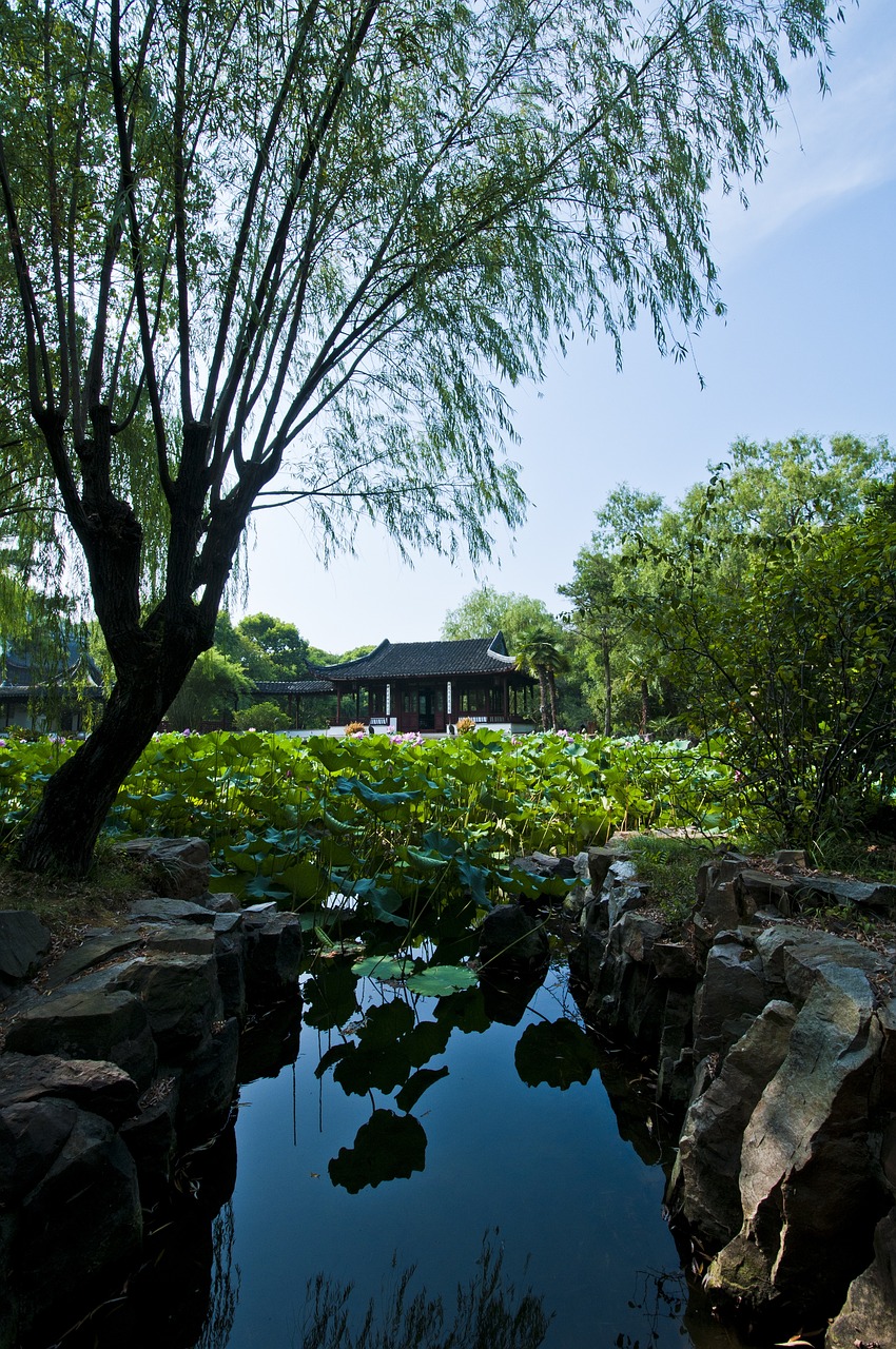 长清最新房源，探索未来居住新选择的理想之地