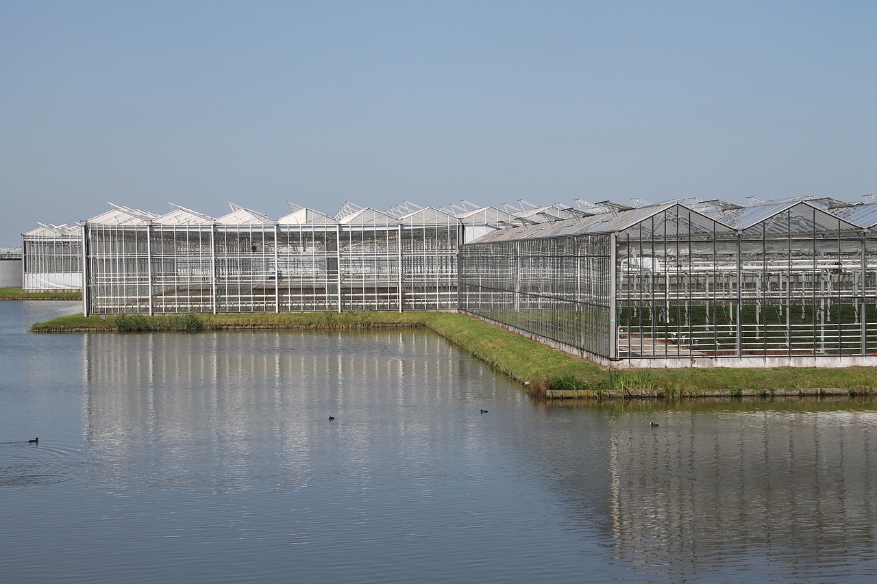 最新塑料大棚技术，引领农业种植模式变革的先锋