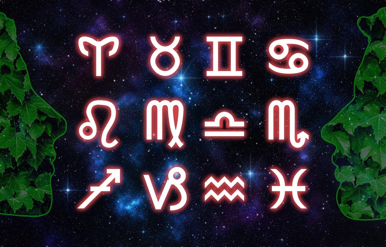 襟上花 第67页